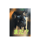 てつの日常生活3（個別スタンプ：7）