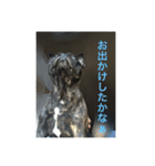 てつの日常生活3（個別スタンプ：8）