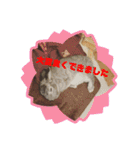 大雑把なうさぎのスタンプ（個別スタンプ：10）