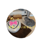 大雑把なうさぎのスタンプ（個別スタンプ：31）