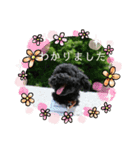 敬語のくろぷースタンプ（個別スタンプ：1）