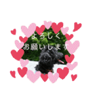 敬語のくろぷースタンプ（個別スタンプ：3）