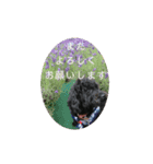 敬語のくろぷースタンプ（個別スタンプ：8）