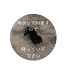 敬語のくろぷースタンプ（個別スタンプ：19）