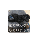 敬語のくろぷースタンプ（個別スタンプ：20）