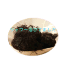 敬語のくろぷースタンプ（個別スタンプ：21）