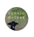 敬語のくろぷースタンプ（個別スタンプ：24）