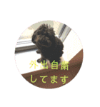 敬語のくろぷースタンプ（個別スタンプ：27）