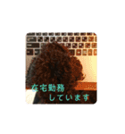 敬語のくろぷースタンプ（個別スタンプ：28）
