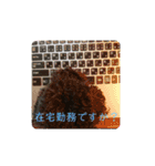 敬語のくろぷースタンプ（個別スタンプ：29）