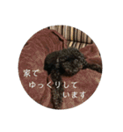 敬語のくろぷースタンプ（個別スタンプ：30）