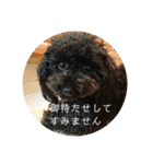 敬語のくろぷースタンプ（個別スタンプ：38）