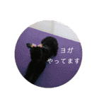敬語のくろぷースタンプ（個別スタンプ：39）