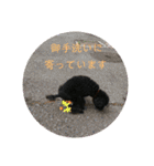 敬語のくろぷースタンプ（個別スタンプ：40）