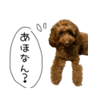 リズの関西弁（個別スタンプ：1）