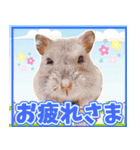 夏目亜季の日常スタンプvol1（個別スタンプ：4）