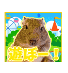 夏目亜季の日常スタンプvol1（個別スタンプ：5）