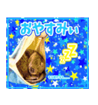 夏目亜季の日常スタンプvol1（個別スタンプ：7）
