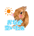 夏目亜季の日常スタンプvol1（個別スタンプ：11）