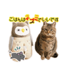 ニャンビレッジ肉球（個別スタンプ：1）