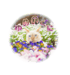 ニャンビレッジ肉球（個別スタンプ：5）