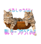 ニャンビレッジ肉球（個別スタンプ：32）