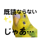 既読にうるさいんこ（個別スタンプ：1）