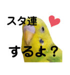 既読にうるさいんこ（個別スタンプ：2）