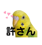 既読にうるさいんこ（個別スタンプ：4）