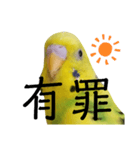 既読にうるさいんこ（個別スタンプ：5）