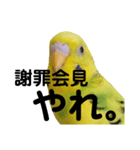 既読にうるさいんこ（個別スタンプ：7）