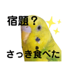 既読にうるさいんこ（個別スタンプ：8）
