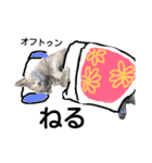 たろうるなでっしゃろ（個別スタンプ：5）