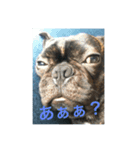 てつの日常生活2（個別スタンプ：2）