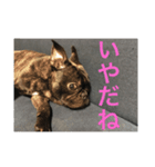 てつの日常生活2（個別スタンプ：8）