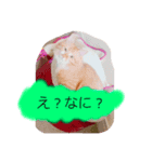 あおちゃんのスタンプ！！（個別スタンプ：7）