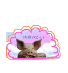 my food communication（個別スタンプ：2）