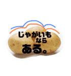my food communication（個別スタンプ：19）