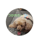 まいちゃん202008（個別スタンプ：2）