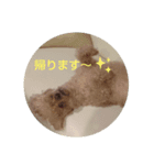 まいちゃん202008（個別スタンプ：7）