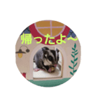 フクロモモンガ小春（個別スタンプ：3）