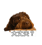 ゆかちゃんのおともだちスタンプ。（個別スタンプ：18）