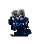ダップー＆マルプースタンプ（個別スタンプ：22）