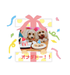 ダップー＆マルプースタンプ（個別スタンプ：23）
