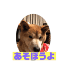 奈々ちゃんの思い出（個別スタンプ：1）