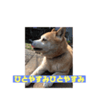 奈々ちゃんの思い出（個別スタンプ：6）