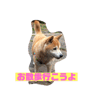奈々ちゃんの思い出（個別スタンプ：8）