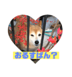 奈々ちゃんの思い出（個別スタンプ：11）