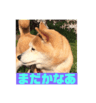 奈々ちゃんの思い出（個別スタンプ：20）