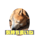 奈々ちゃんの思い出（個別スタンプ：24）